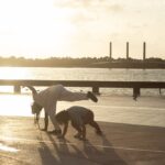 Movimentos -Chapa de Costas e Esquiva